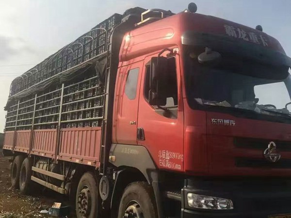 水果產(chǎn)品類(lèi)運(yùn)輸案例3