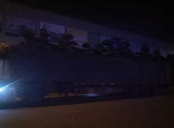 急出貨在晚上裝貨案例3